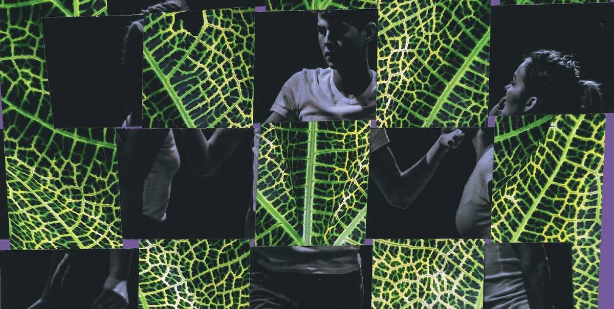 affiche-chai-2025-final-a3-page-0001.jpg -