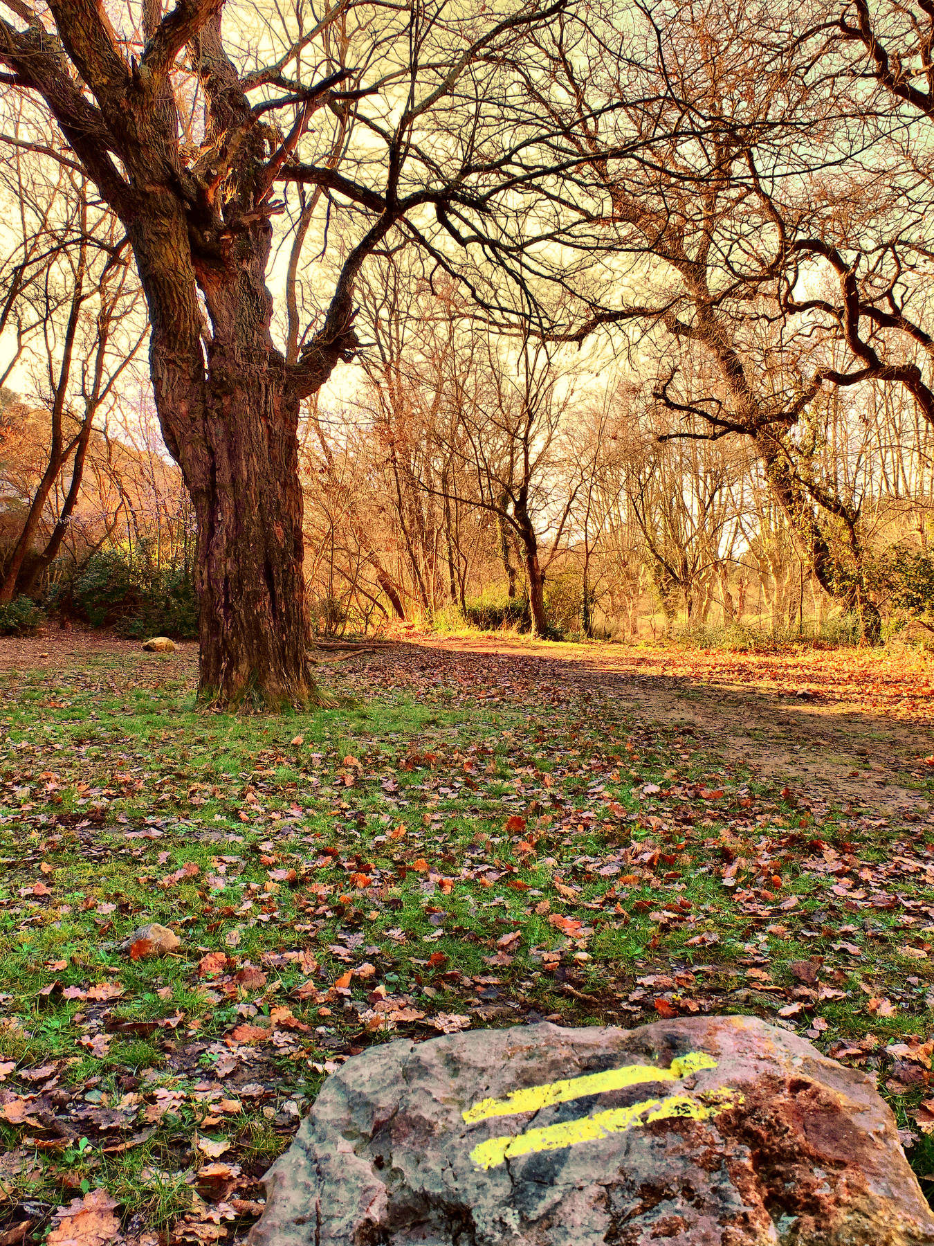 balade-nature-hd.jpg -